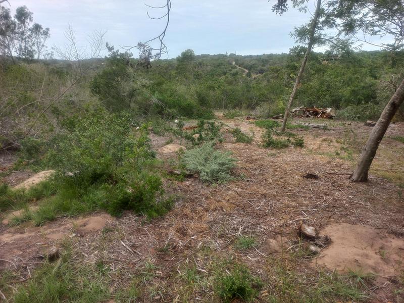 0 Bedroom Property for Sale in Wilderness Western Cape